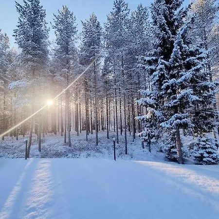 Traditional Wooden Villa, Gloria * Rovaniemi